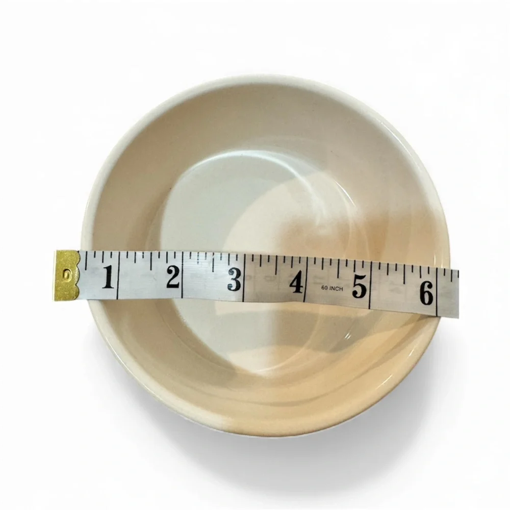 Rae Dunn “Devour” Pet Bowl 6” - Picture 5 of 5